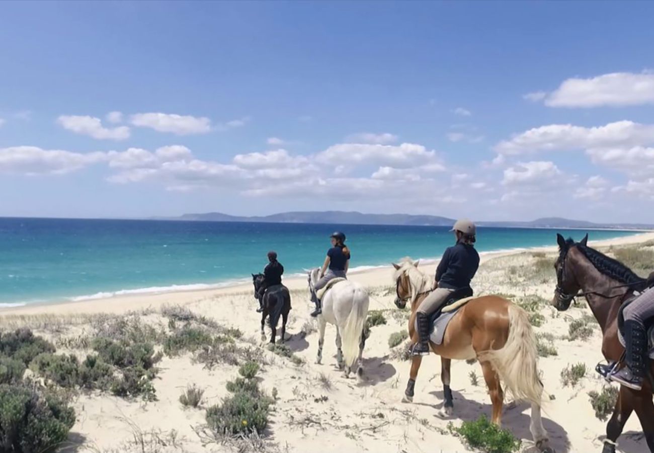 Villa em Comporta - Villa Verso Comporta - NEW!