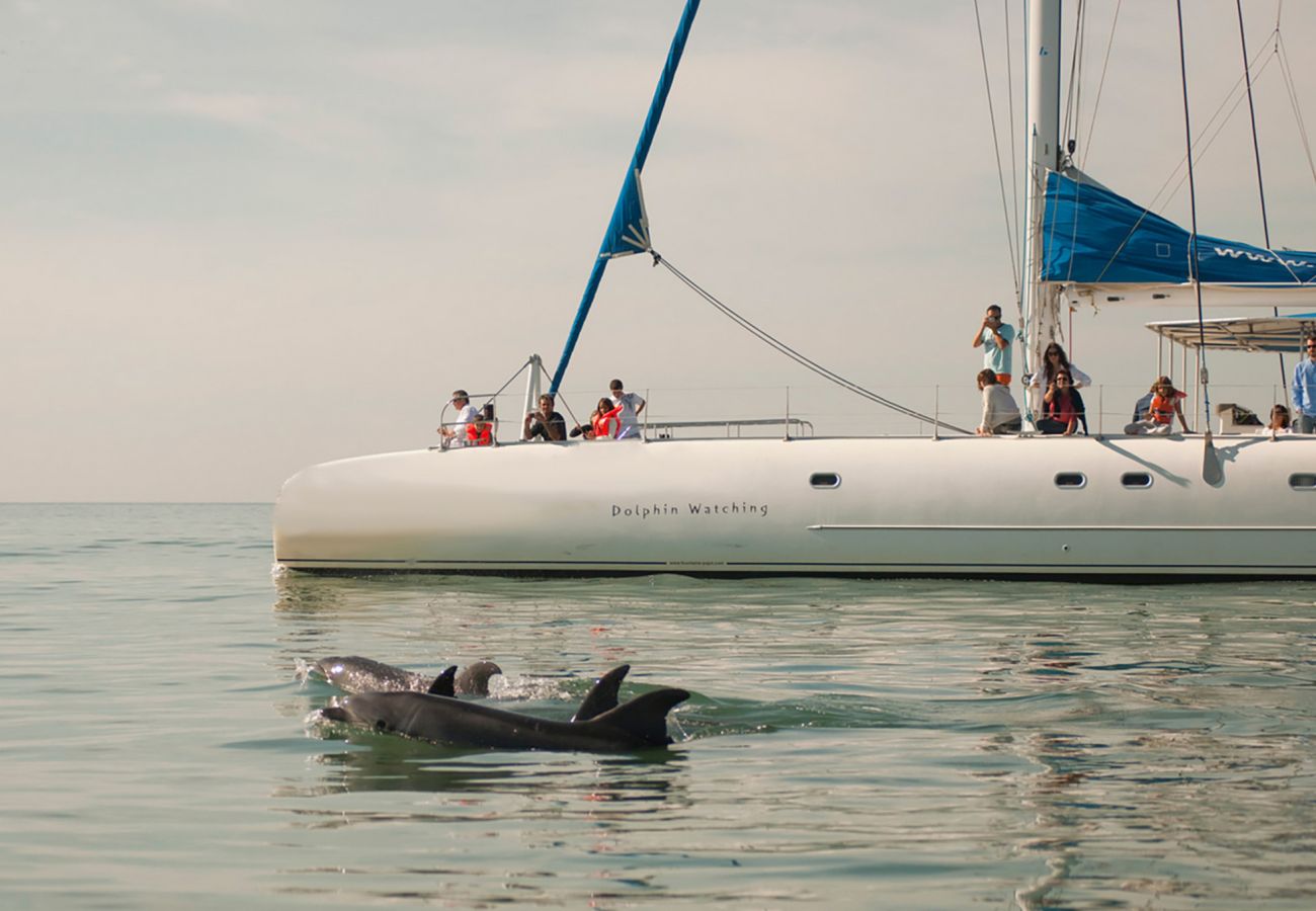 Villa em Comporta - Villa Verso Comporta - NEW!