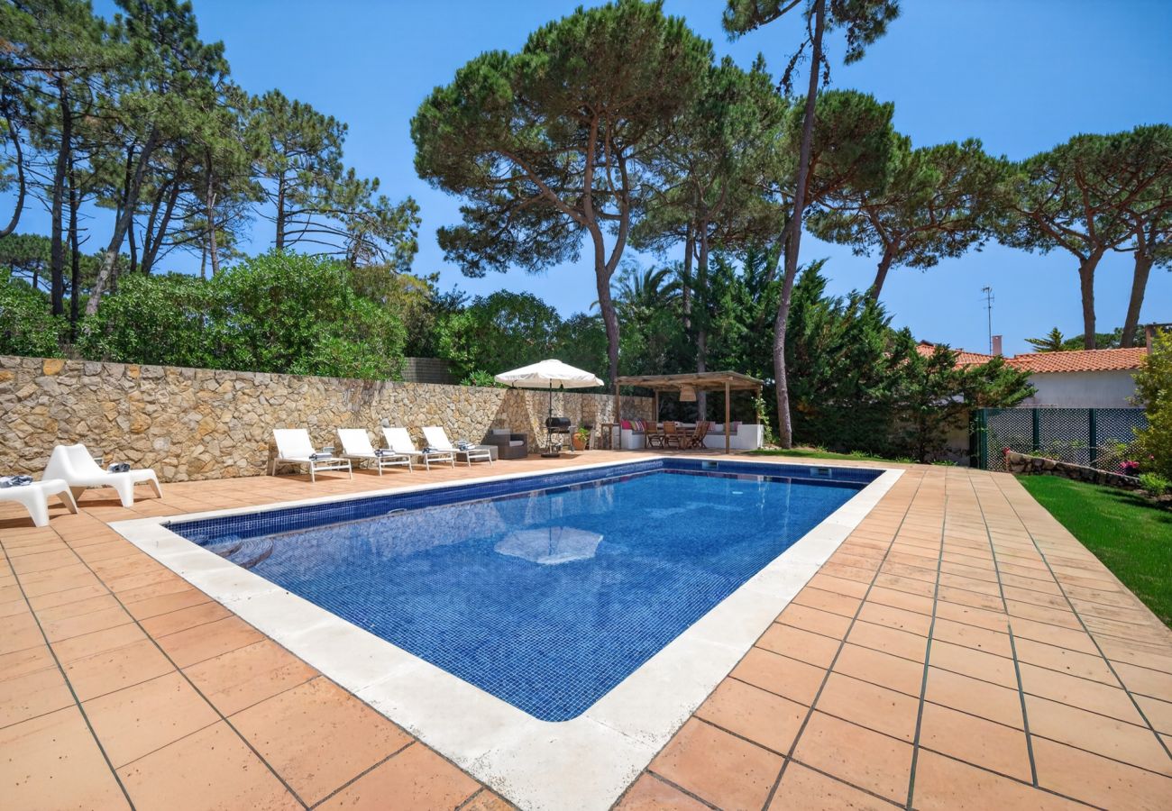 Villa em Sintra - Villa Natura