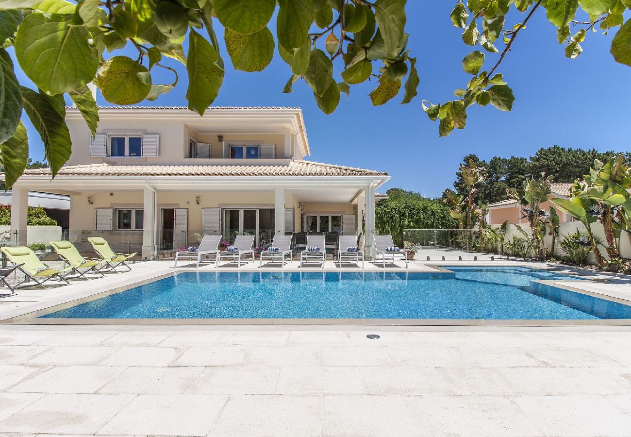 Villa in Verdizela - Villa Amendoa