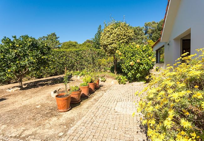 Villa in Sintra - Villa Santamaria Villa in Sintra - Villa Santamaria