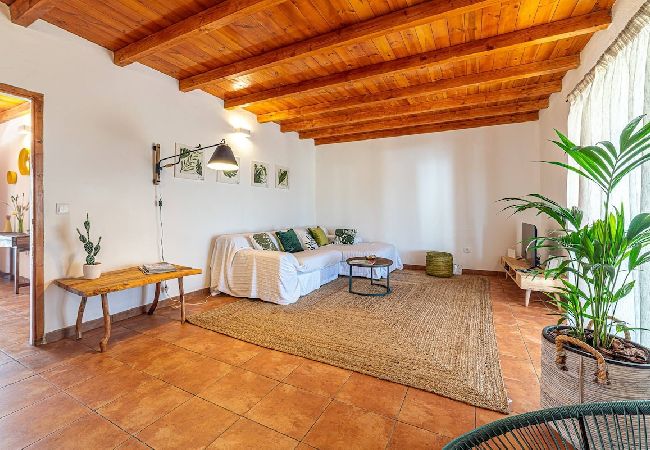 Villa in Melides - Villa Casanova Villa in Melides - Villa Casanova