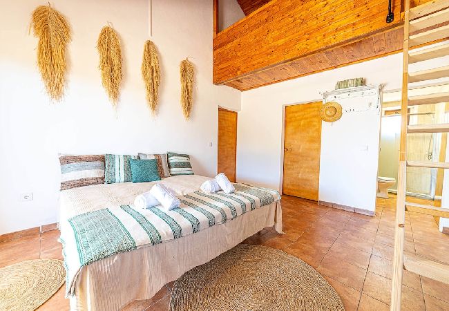 Villa in Melides - Villa Casanova Villa in Melides - Villa Casanova