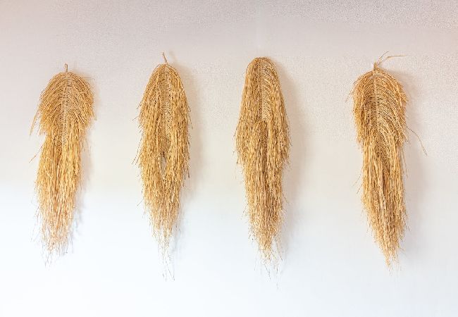 Villa in Melides - Villa Casanova Villa in Melides - Villa Casanova