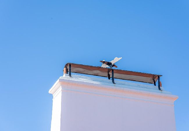 Villa in Melides - Villa Casanova Villa in Melides - Villa Casanova