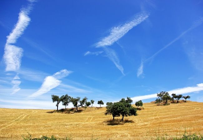 Villa in Melides - Villa Casanova Villa in Melides - Villa Casanova