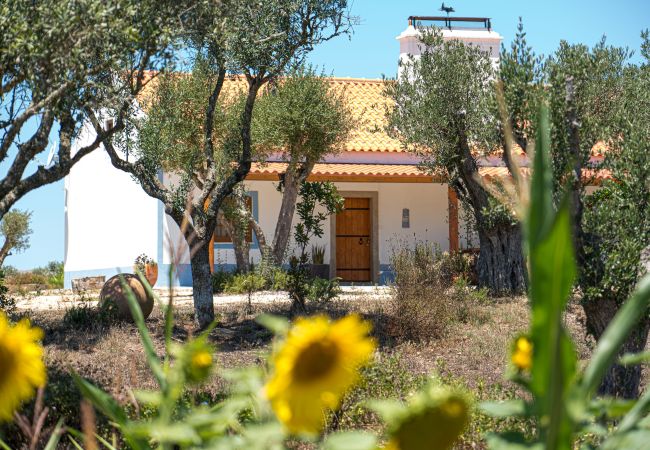 Villa in Melides - Villa Casanova Villa in Melides - Villa Casanova