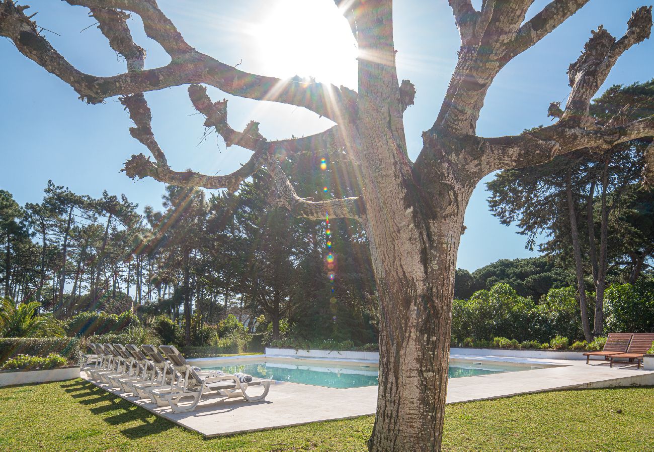 Villa in Sintra - Villa Maxima