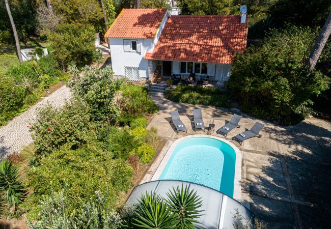 Villa in Sintra - Villa Blanche Villa in Sintra - Villa Blanche