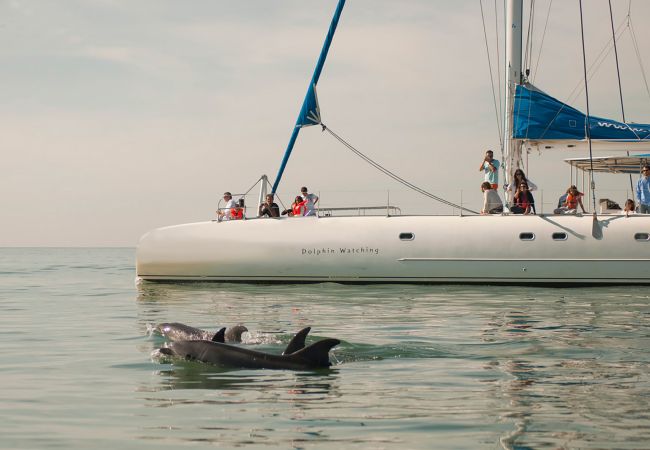 Villa in Península de Tróia - Villa Paraiso Comporta Villa in Península de Tróia - Villa Paraiso Comporta