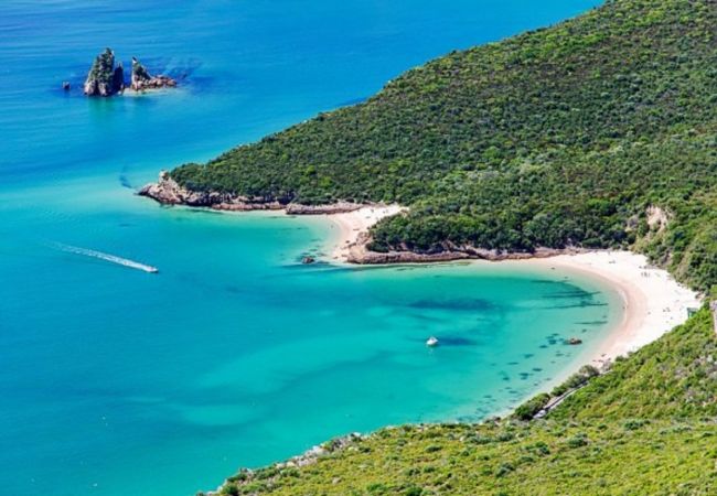 Villa in Azeitão - Villa Arrabida Villa in Azeitão - Villa Arrabida