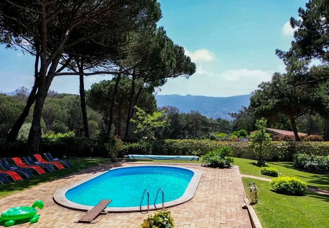 Villa in Sintra - Villa Pine Nature Villa in Sintra - Villa Pine Nature