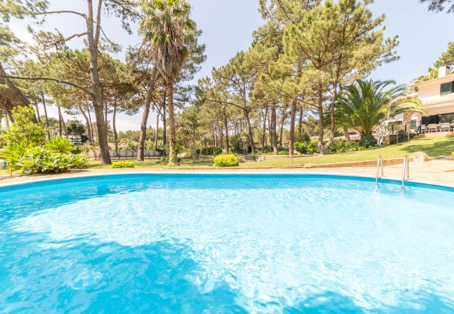 Villa in Sintra - Villa Pine Nature Villa in Sintra - Villa Pine Nature