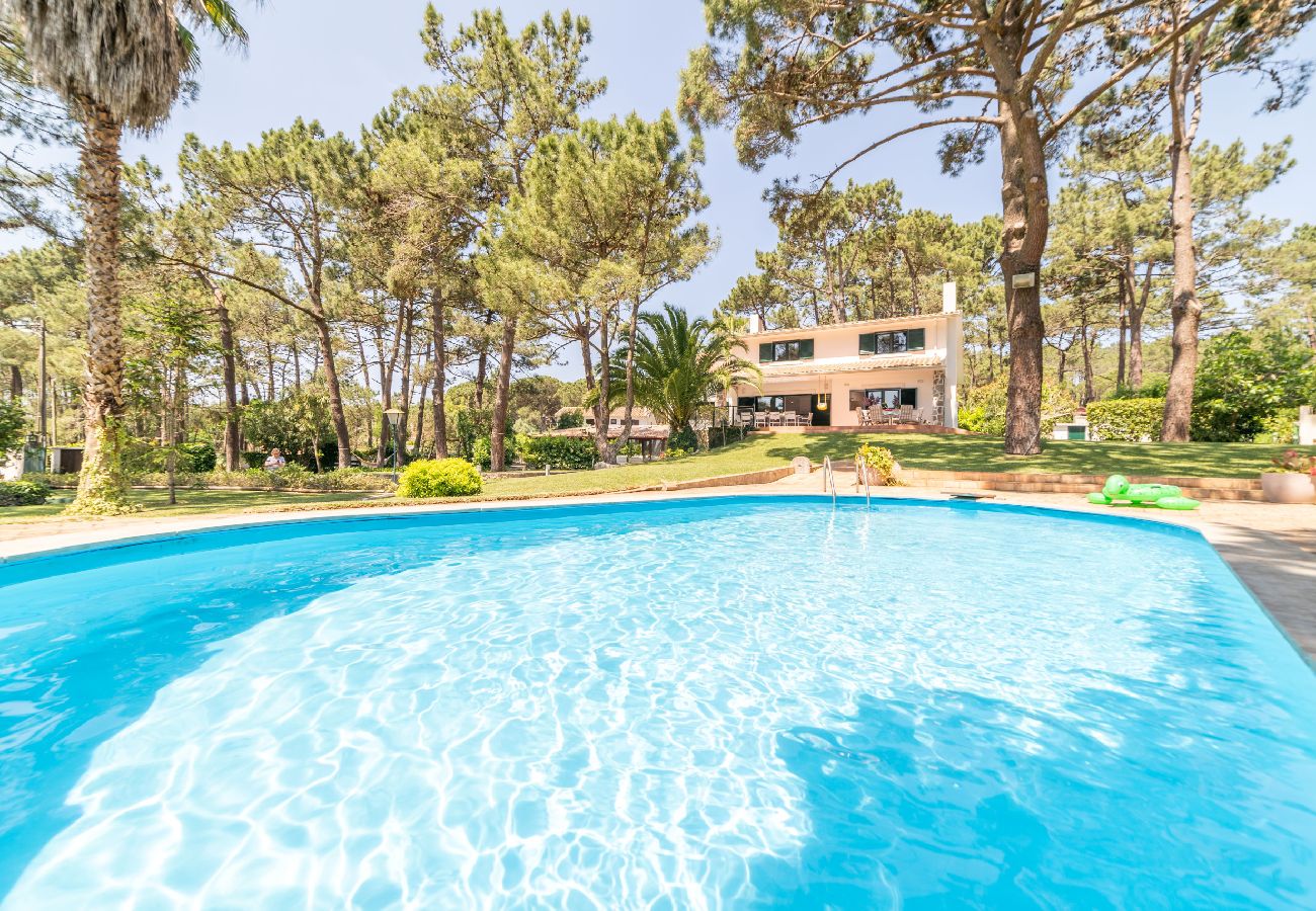 Villa in Sintra - Villa Pine Nature