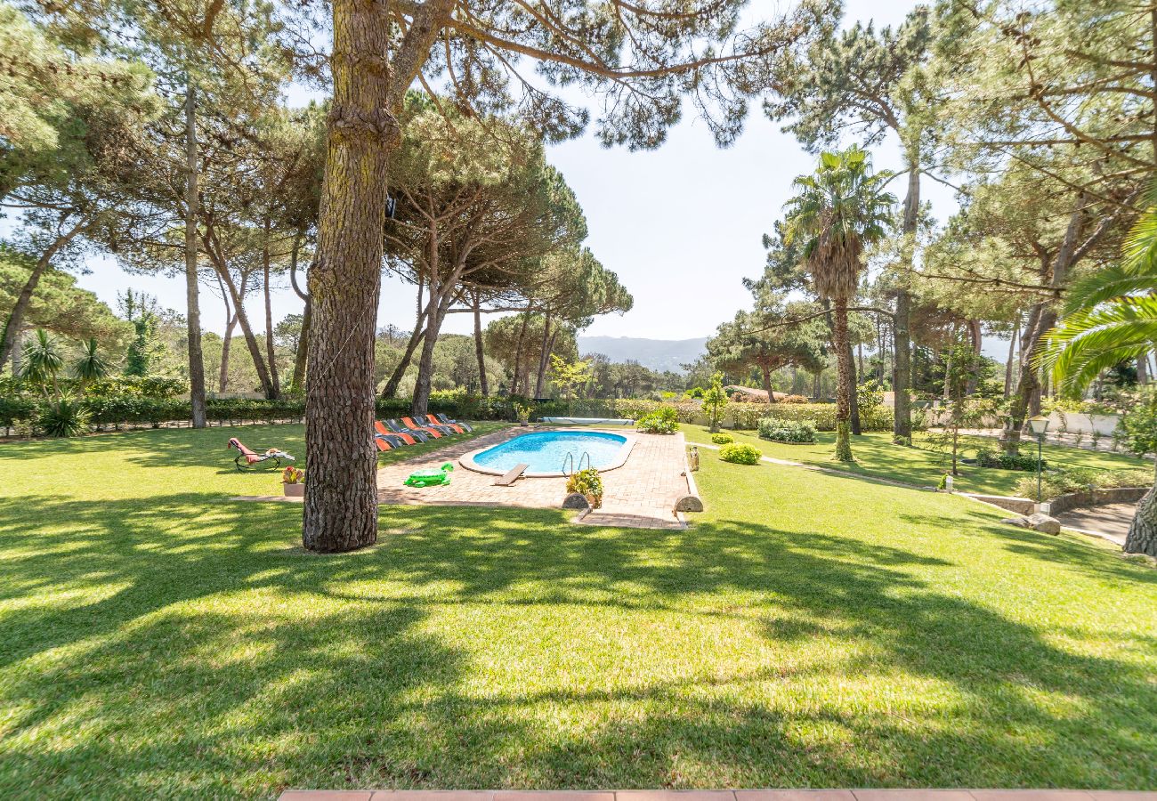 Villa in Sintra - Villa Pine Nature