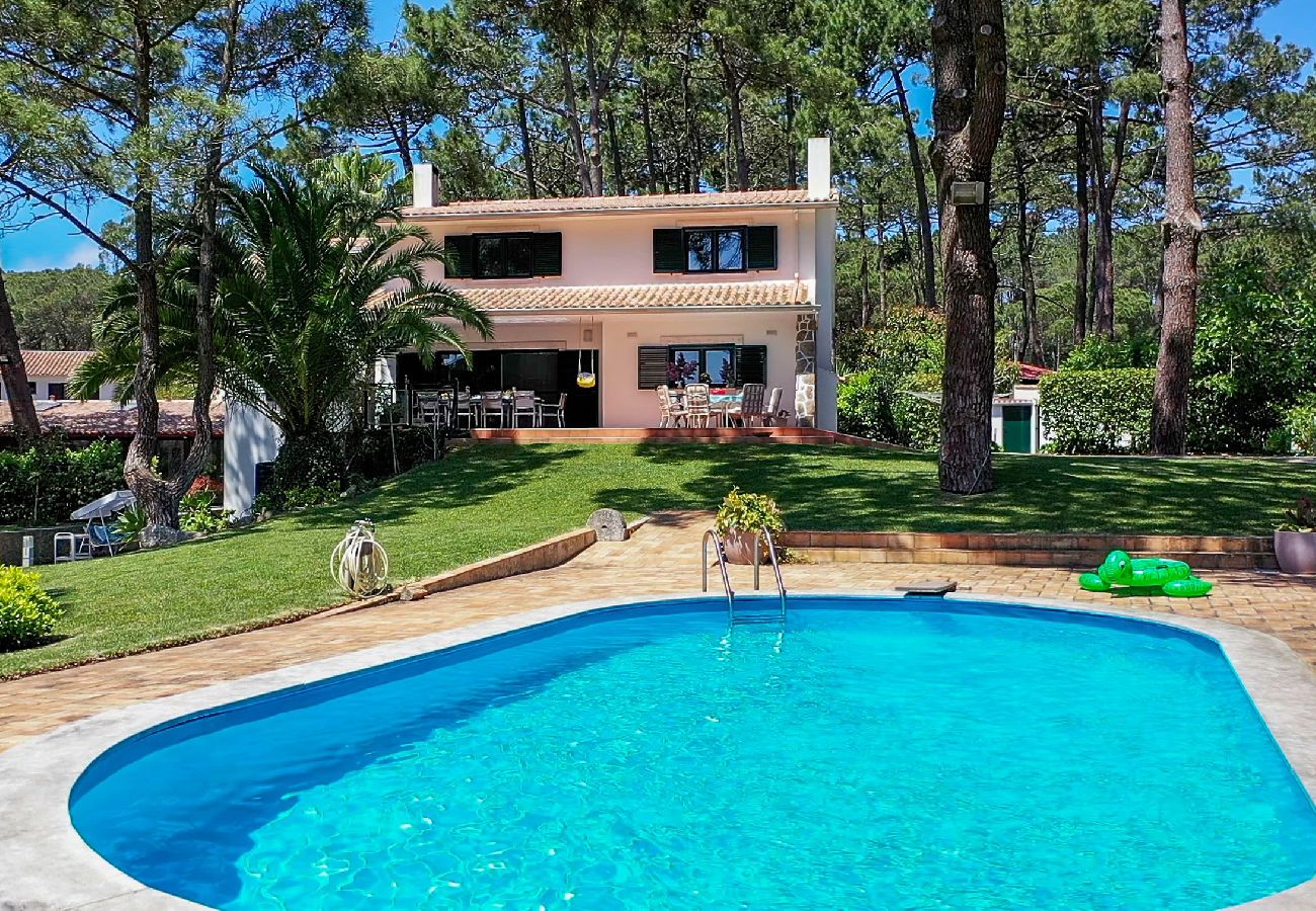 Villa in Sintra - Villa Pine Nature