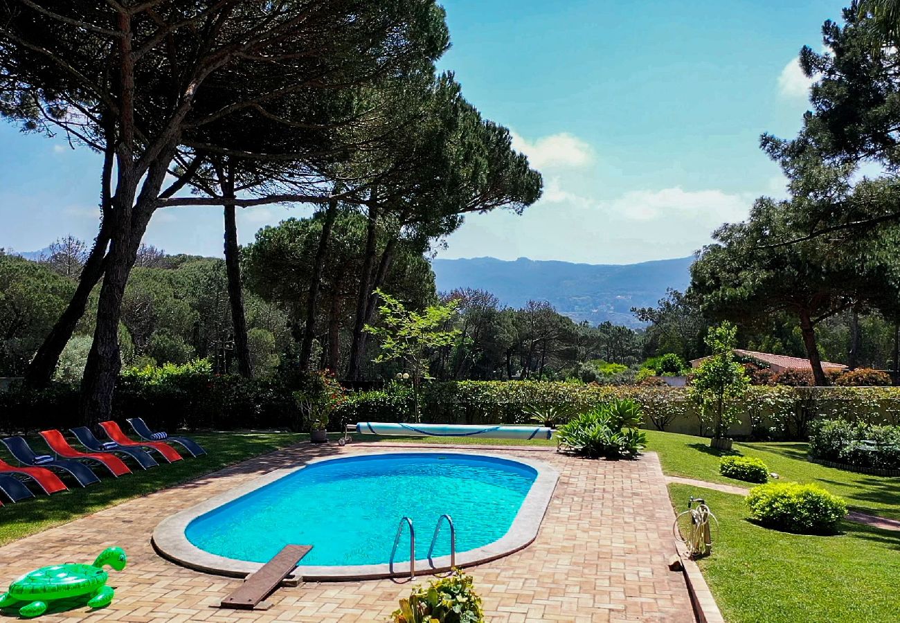 Villa in Sintra - Villa Pine Nature