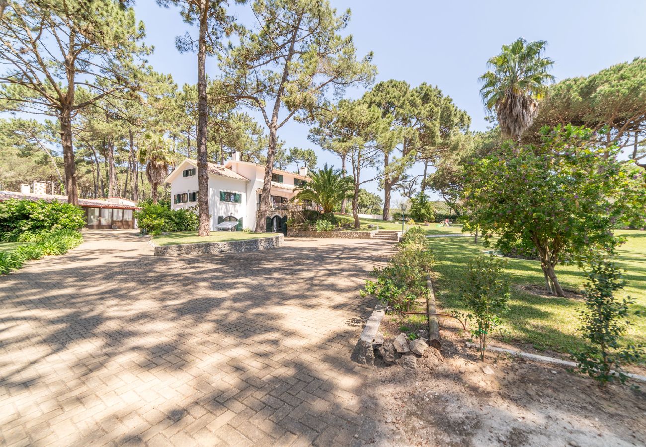 Villa in Sintra - Villa Pine Nature