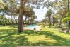 Villa in Sintra - Villa Pine Nature Villa in Sintra - Villa Pine Nature