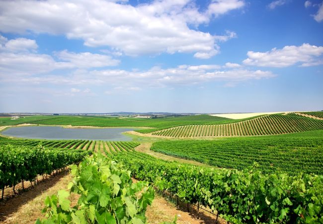 Villa in Melides - Villa Love Story Villa in Melides - Villa Love Story