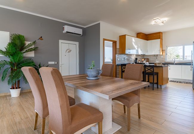 Villa in Comporta - Villa Tommy - NEW! Villa in Comporta - Villa Tommy - NEW!