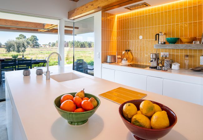 House in Melides - Villa do Pinheiro - NEW! House in Melides - Villa do Pinheiro - NEW!