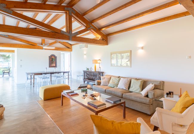 House in Melides - Villa do Pinheiro - NEW! House in Melides - Villa do Pinheiro - NEW!