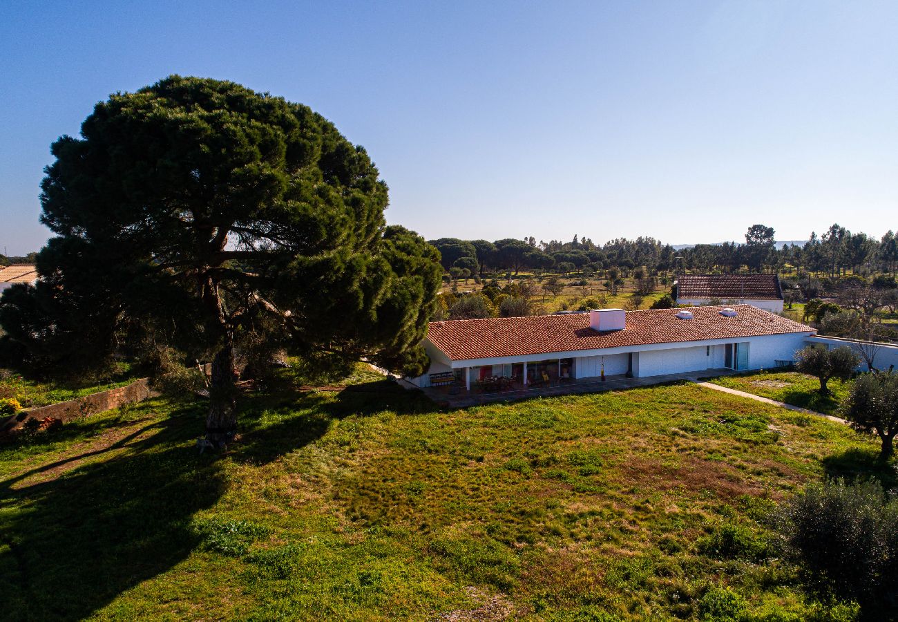 Villa in Melides - Villa do Pinheiro