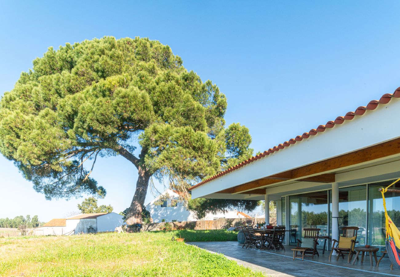 Villa in Melides - Villa do Pinheiro