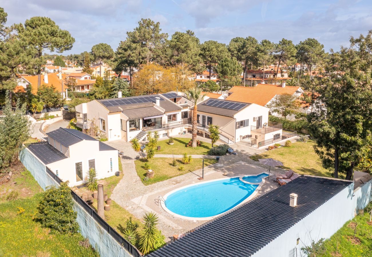 Villa in Verdizela - Villa Praia e Floresta
