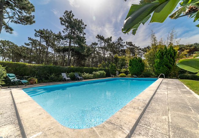 Villa in Sintra - Villa Miragem - NEW! Villa in Sintra - Villa Miragem - NEW!