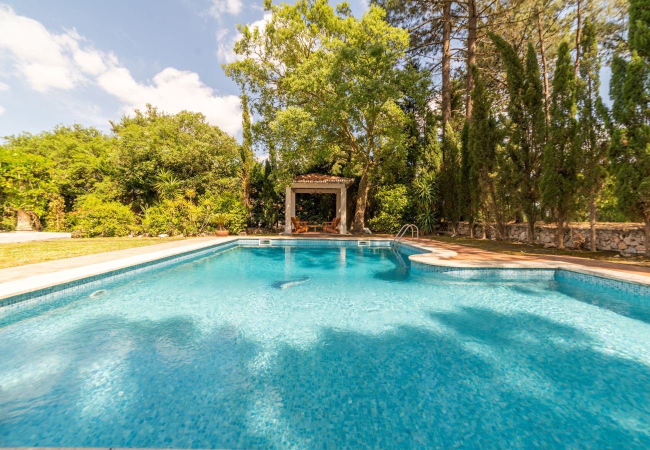 Villa in Azeitão - Villa Fontaneda