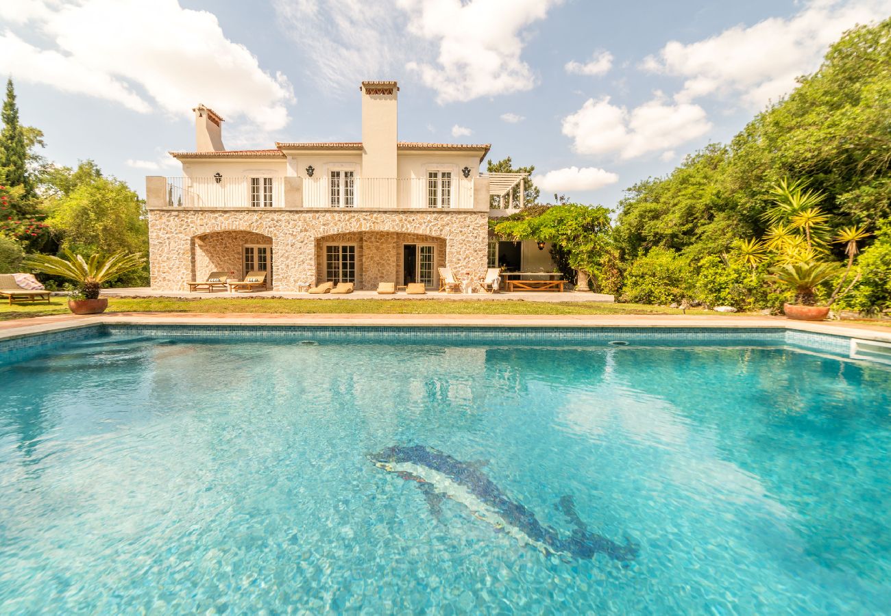 Villa in Azeitão - Villa Alegria